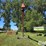 buhler-farm-king-851-image-6