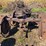 massey-harris-gp-image-4