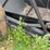 pan-scraper-image-9