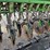john-deere-8300-grain-drill-image-22