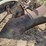 horse-drawn-roll-over-plow-image-5