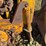 schramm-60-crawler-tractor-image-17