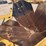 vermeer-tree-spade-image-9
