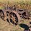 massey-harris-gp-image-5