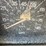 #54866-•-1984-ford-f-600-36'-single-cab-s/a-bucket-truck-1fdnk64n7eva14542-inv#54866-image-58