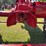 1945-farmall-b-image-24