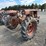 1934-ih-farmall-f-20-tractor---non-running-image-4