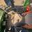 2019-john-deere-6-image-44