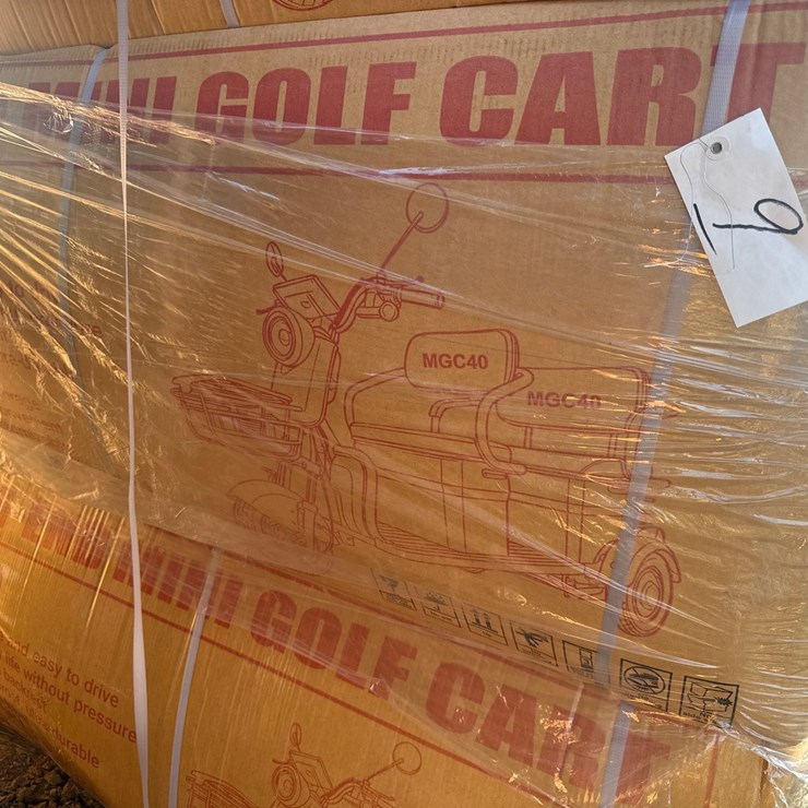 #9 • BLUE MINI GOLF CART