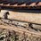 caterpillar-ten-image-21