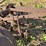 centaur-tractor-image-27
