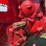 1947-farmall-av-image-21