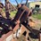fordson-trackson-road-grader-image-33