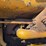 caterpillar-ten-high-clear-image-15
