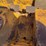 caterpillar-ten-high-clear-image-20
