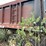 #10589-•-hi-bilt-t/a-20'-dump-trailer-502bb22b6fm009446-inv#10589-image-26