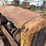 caterpillar-twenty-five-image-10