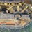 caterpillar-thirty-image-42