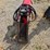 #23976-•-2024-dx-55r-excavator-and-mulching-head-image-77