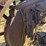 massey-harris-gp-image-20
