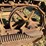 caterpillar-ten-high-clear-image-32