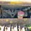 caterpillar-2-ton-image-12