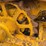 caterpillar-twenty-eight-image-25
