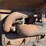 caterpillar-ten-high-clear-image-21