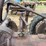 massey-harris-gp-image-31