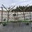 60'-john-deere-spike-tooth-harrow-image-30