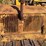 caterpillar-ten-image-13