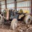 caterpillar-thirty-wheeled-conversion-image-4
