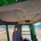 2020-john-deere-2020-image-37