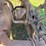 fordson-trackson-f-image-32