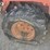 1999-ditch-witch-3700dd-image-24