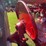 1947-farmall-av-image-18