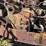 oliver-44-image-23