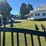 #185-•-14ft-bi-parting-wrought-iron-gate-image-2