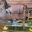 fordson-trackson-road-grader-image-56