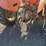 1964-massey-ferguson-35-tractor-image-18