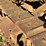 caterpillar-ten-high-clear-image-30