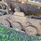 fordson-trackson-f-image-27