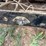 #10589-•-hi-bilt-t/a-20'-dump-trailer-502bb22b6fm009446-inv#10589-image-17