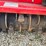#23976-•-2024-dx-55r-excavator-and-mulching-head-image-69