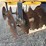 5'-3pt-tandem-disc-image-7