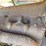 fordson-trackson-f-image-17