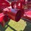 1945-farmall-b-image-23