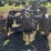 massey-harris-gp-image-8
