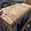 caterpillar-ten-high-clear-image-12