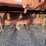 howard-rotaspike-hw-seedbed-tiller-image-9